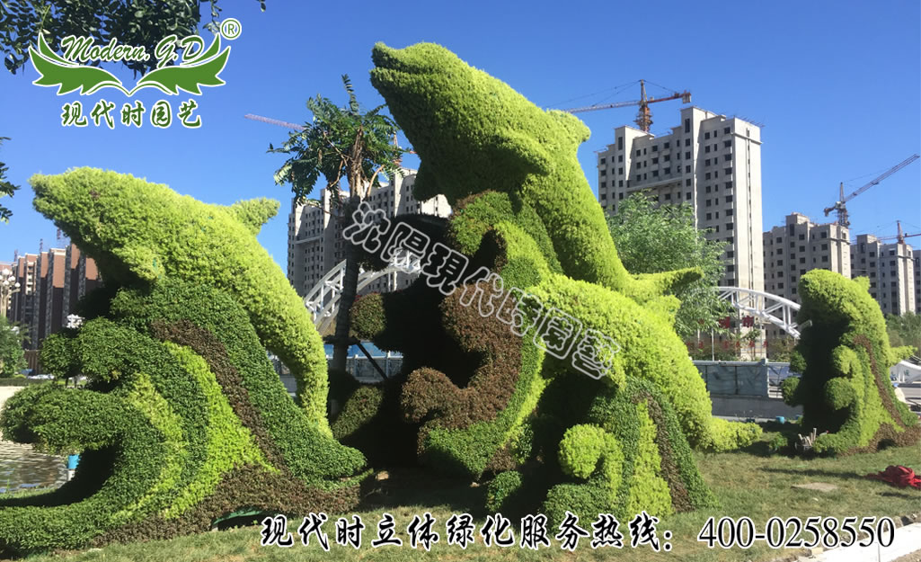 盤錦五色草造型