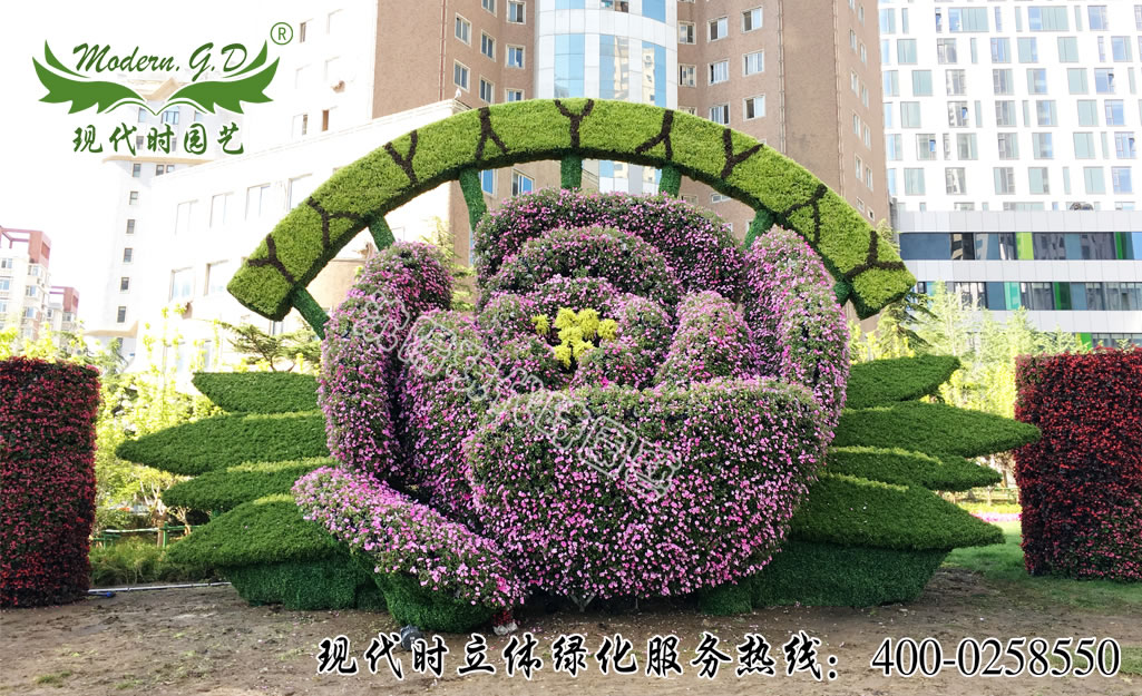 大連 “花開富貴”