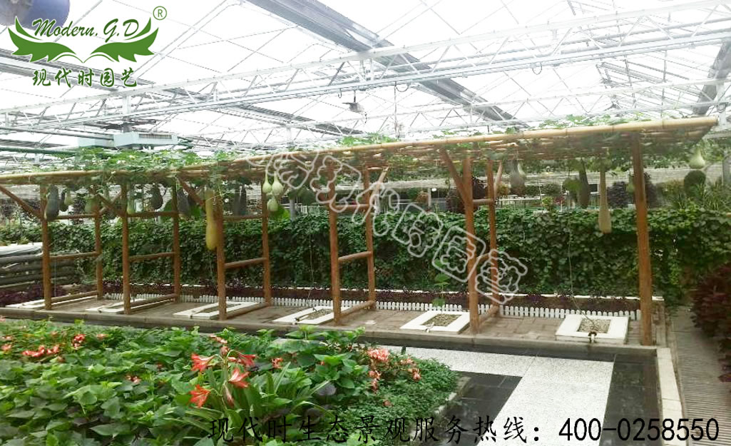 觀光農(nóng)業(yè)園