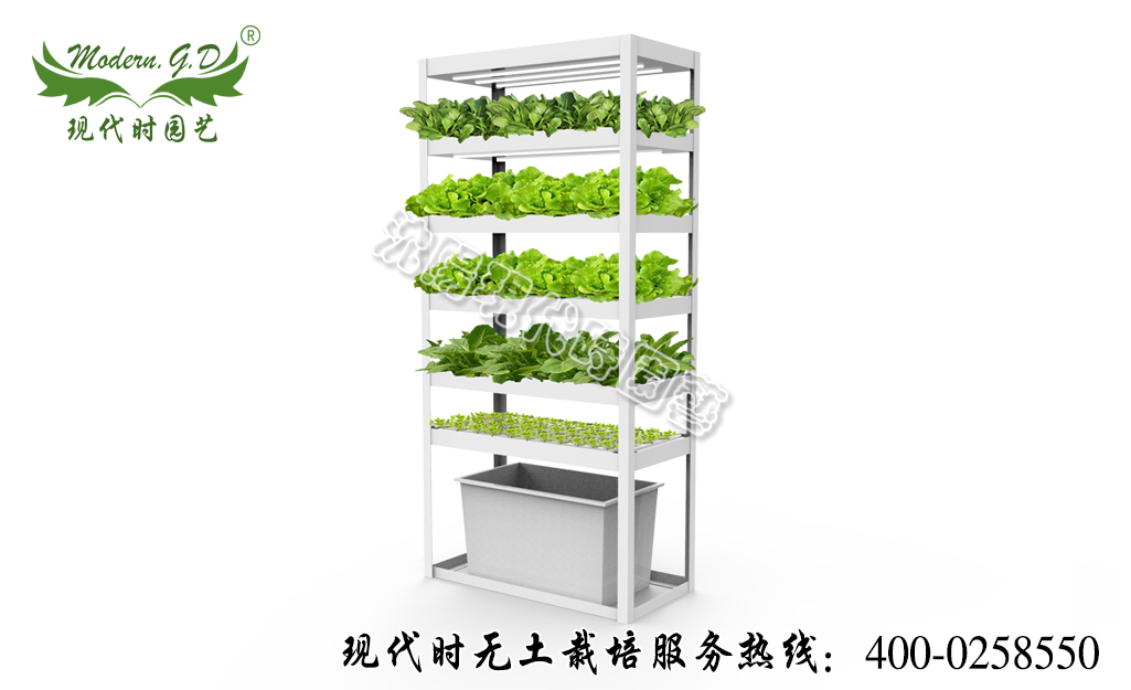 智能蔬菜種植機(jī)—普通版 型號(hào):N-31
