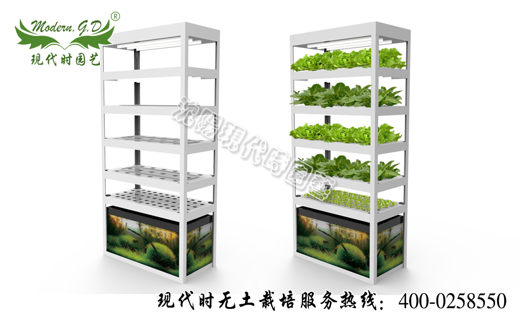 智能蔬菜種植機(jī)—魚菜共生 型號(hào):N-31