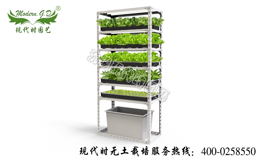 智能蔬菜種植機(jī)—簡(jiǎn)易版 型號(hào):N-32