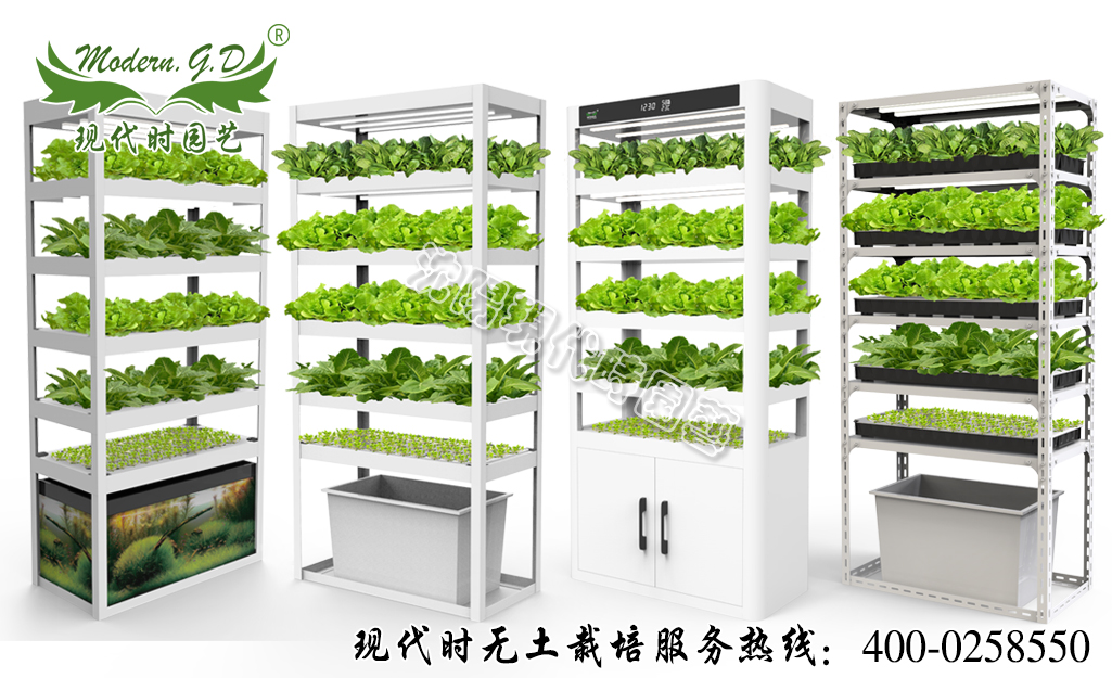 蔬菜種植機(jī)