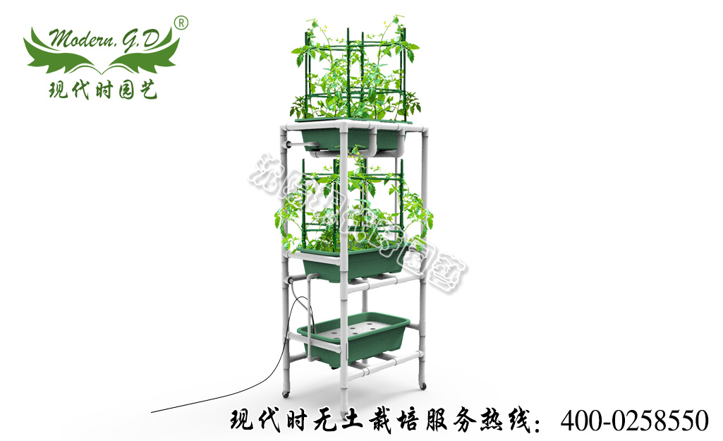 移動(dòng)茄果種植機(jī) 型號(hào):N-41